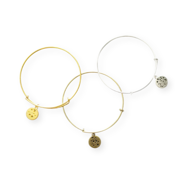 Zodiac Constellation Bangle