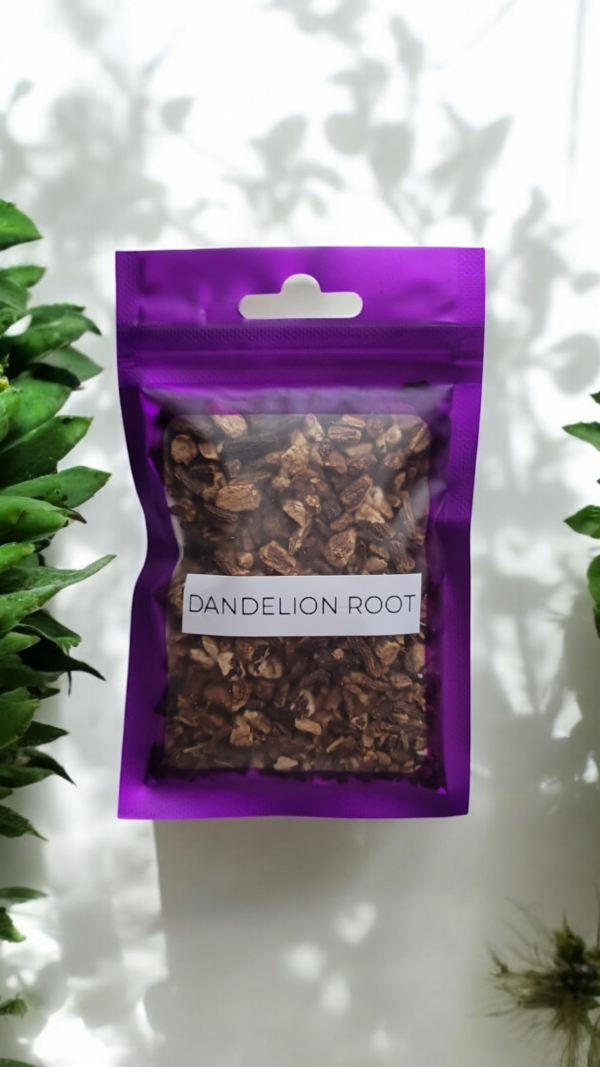 Dandelion Root - Image 2